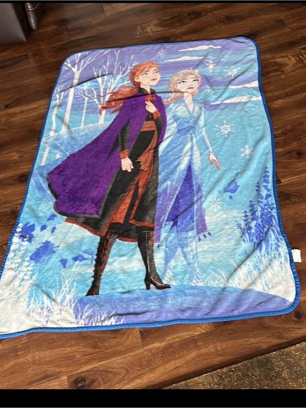 Disney Frozen Plush Kids Throw Blanket featuring Anna and Elsa  60” x 44”